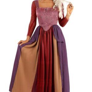 Women's Deluxe Disney Hocus Pocus Sanderson Sisters Costume Dress- Adult small